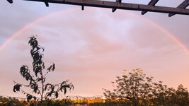IMG_20260507_200106.jpg