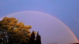 20260507_200300.jpg