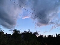 IMG_1530.jpeg