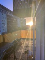 IMG_2316.jpeg