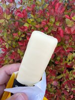 IMG_6754.jpeg