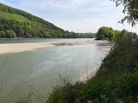 IMG_8130.jpeg