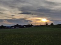 IMG_20260504_193354.jpg