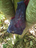 20260509_094243.jpg