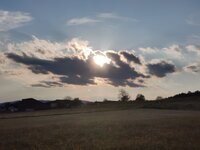 IMG_20260509_191428.jpg
