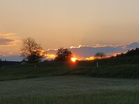 IMG_20260509_200320.jpg