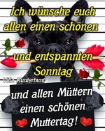 IMG_0217.jpeg