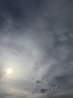 IMG_6790.jpeg