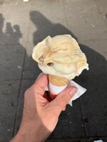 IMG_2347.jpeg