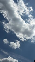 98cb7f7b-fbdc-4ef0-b925-e926e4df458a.jpeg