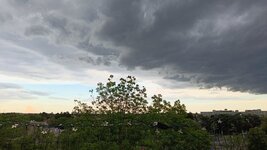 IMG_20260511_182952.jpg