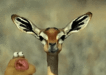 20260510_190155.gif