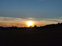 IMG_20260503_194753.jpg