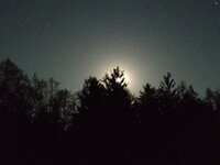 IMG_20260501_235142.jpg