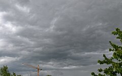 DSC_3860.jpg
