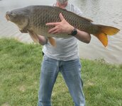 IMG_20260512_090953.jpg