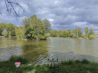 IMG_20260512_162107.jpg