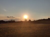IMG_20260509_194156.jpg