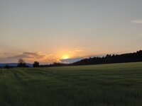 IMG_20260509_195659.jpg