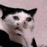 1778620268896.gif
