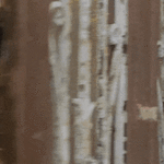 26153.gif