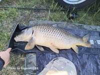 IMG_20260513_113430_739.jpg