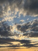 IMG_6842.jpeg