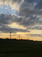 IMG_6841.jpeg