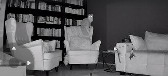 IMG_1546.jpeg
