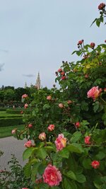 20260514_121024.jpg