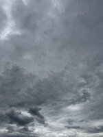 IMG_6850.jpeg