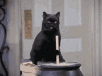 1000067293.gif 1000067293.gif