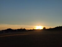 IMG_20260502_195004.jpg