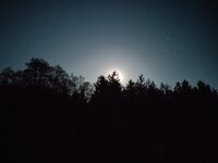 IMG_20260501_235205.jpg