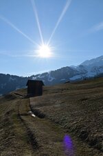 DSC_9949.jpg