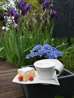 Kaffee-1505.jpg