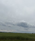 IMG_6924.jpeg
