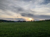 IMG_20260504_193357.jpg