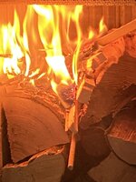 IMG_0579.jpeg