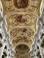 IMG_2379.jpeg