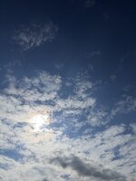 IMG_6941.jpeg