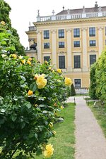 DSC_4189.jpg