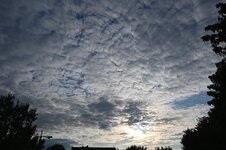 DSC_4329.jpg