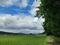 IMG_20260517_102511.jpg