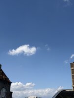 IMG_6963.jpeg