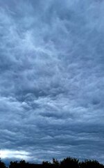 20260517_160501.jpg