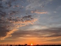 IMG_6976.jpeg