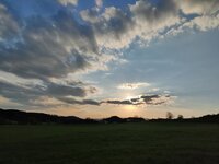 IMG_20260417_190050.jpg