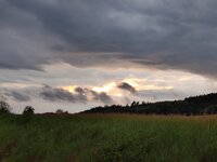 IMG_20260516_201213.jpg