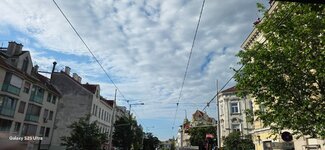 20260519_075227.jpg